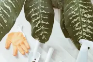 الحديقة والديكور